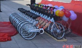 翔安区共享单车最新爆料,最新爆料揭示行业变革趋势