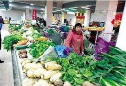 郑州菜市场爆料视频曝光,揭秘真实市场乱象